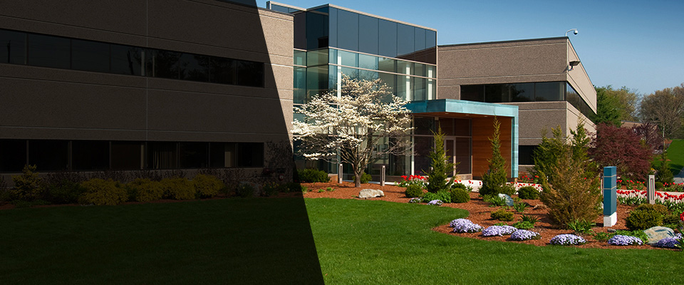 South China Landscapers