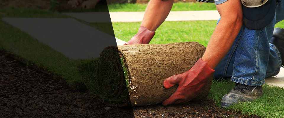 South China Landscapers